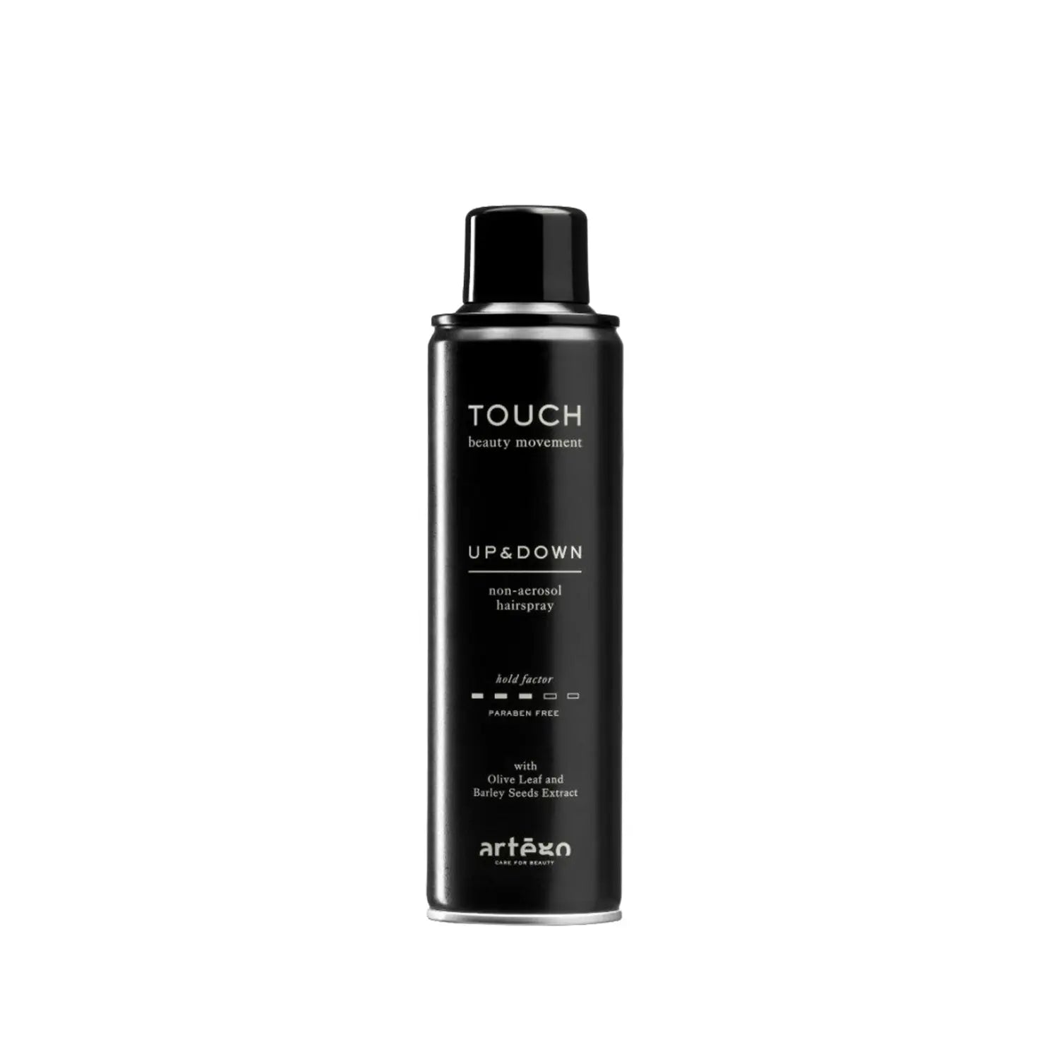 Artego Touch Up And Down Saç Spreyi 250 Ml Kadınlar İçin Profesyonel Kalıcı Şekillendirme by SaçBakım